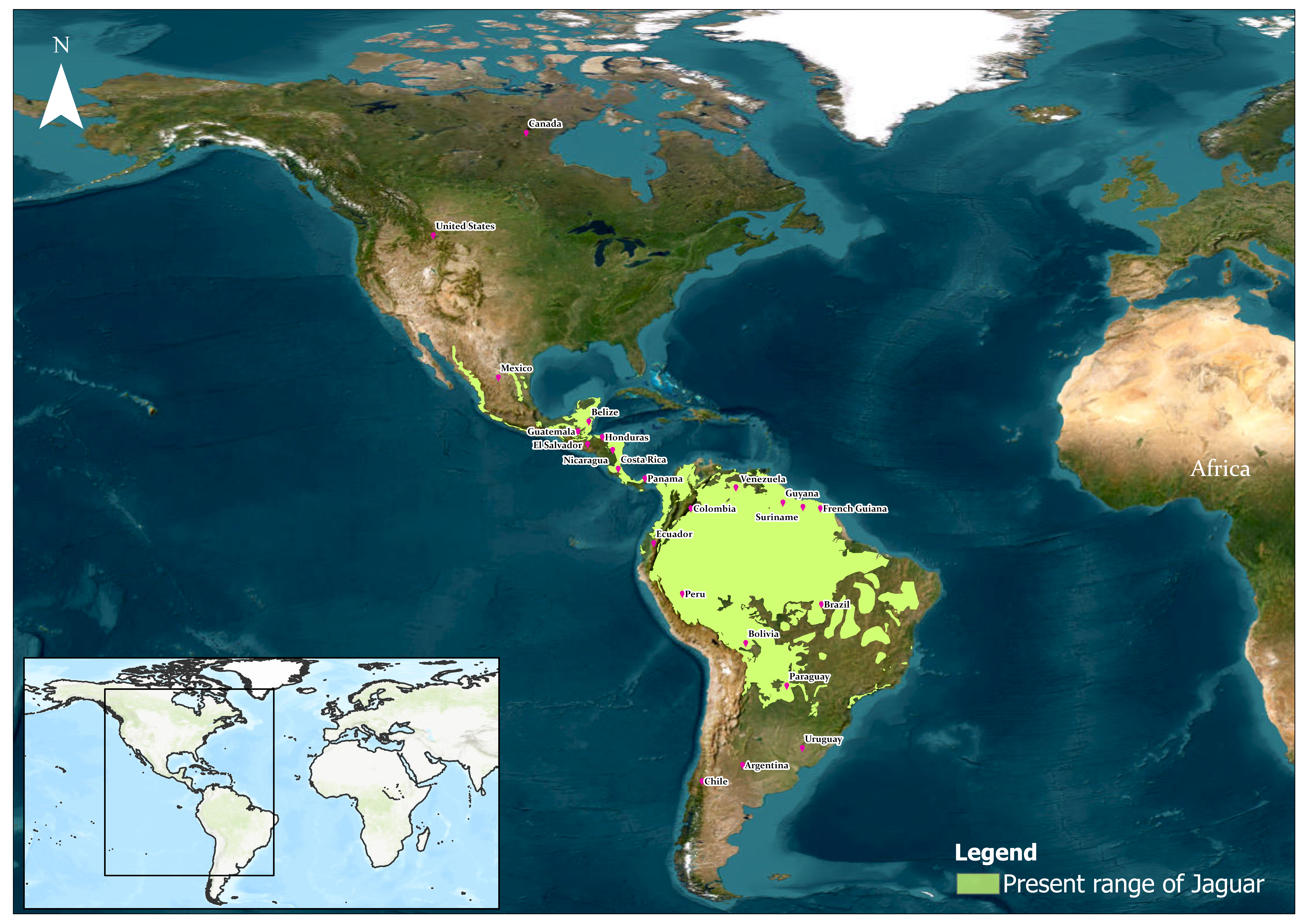 Present Distribution of Pumas